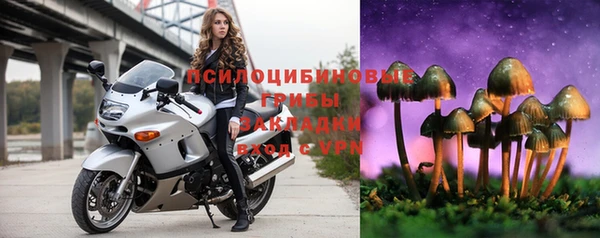 mdma Богданович