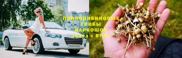 таблы Богородицк