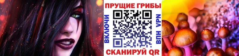 где купить   Симферополь  hydra ТОР  Псилоцибиновые грибы Psilocybine cubensis 